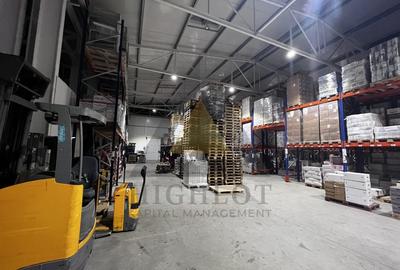 HALA DE VANZARE | OTOPENI | INVESTITIE - chirie anuala 272.400 euro - 11