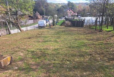 Casă cu 3 camere în Central