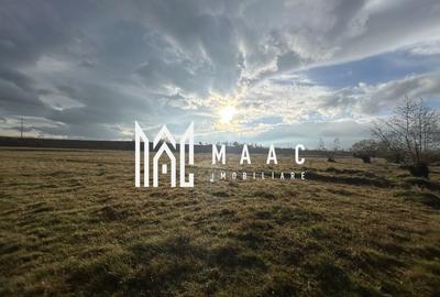 Teren cu potențial turistic I Cârțișoara I 3000 MP - 2