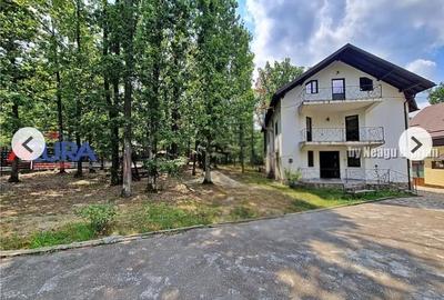 Casă de vacanță în pădure, 10 km de Pitești - Babana - 1