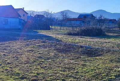 Teren de 800 mp, în Dumbrava - 1