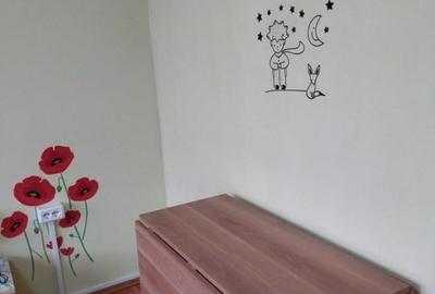 Apartament cu 2 camere - zona Tudor Vladimirescu - Iulius Mall - 6