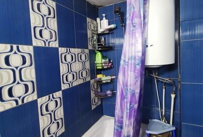 Casă cu 2 camere cu Teren 5 Mp în Tileagd