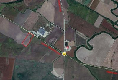 Teren Industrial cu PUZ de vanzare pe Calea Torontalului - 1