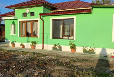 Casă cu 3 camere în Teiu - 1