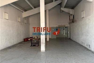 Hală industrială de închiriat în Sebeș  depozitare sau - 3