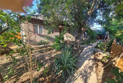Casa batraneasca Ceamurila de jos - 4