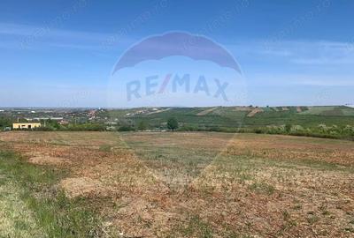 Teren de 1628 mp, în Paleu - 2