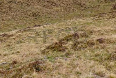 Teren de 2000 mp, în Curățele - 4