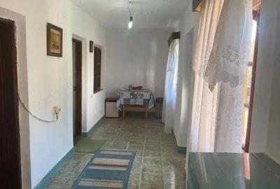 Casa 133 mp utili, 3300 mp teren, Ciutura - 10