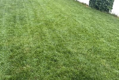 Duplex cu 4 camere cu Canalizare în Central - 6