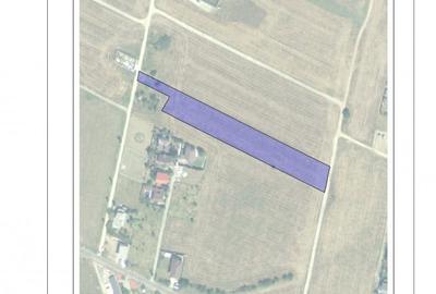 Oportunitate! Teren intravilan 2262 mp | BALOTESTI | ION LAHOVARI | Gaz-Curent - 6