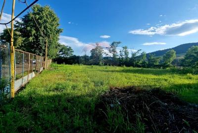 Teren 1,749mp Piatra-Neamt / Strada Zambilelor - 8