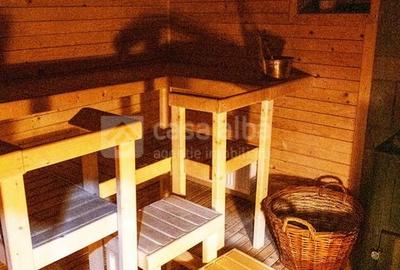 Proprietate unica, independenta energetic, zona Bucium Proprietate unica, independenta energetic, zona Bucium - 19