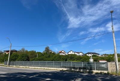 Teren in Hunedoara, zona Pestisu Mare la 12 km de Deva*800 mp! - 4