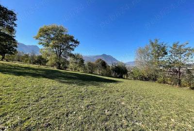 Teren intravilan zona Bran-Tohanita, judetul Brasov intre 500 si 1000 mp la 5 km de Moieciu - 8