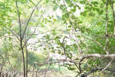 Teren intravilan Brasov-Schei Teren intravilan Brasov-Schei - 9