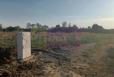 Sabareni, lot de casa 500 mp, curent langa teren - 3