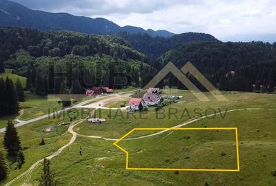 Oportunitate Investitie | Teren cu PUZ | Poiana Aviatorilor | 4.888mp - 3