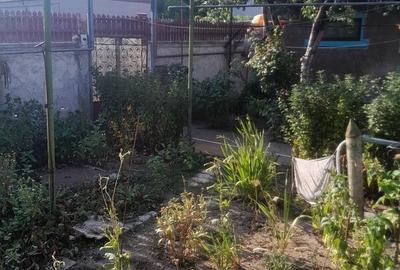 Drumul Gazarului, str. Soimus Drumul Gazarului, str. Soimus - 2