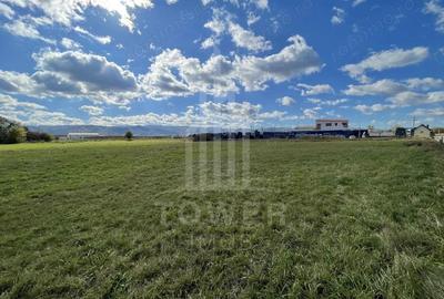 Teren de 6000 mp, în Cristian