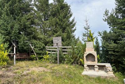 Casă cu 3 camere în Dosu Bricii - 4