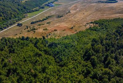 Teren 6,000mp Crizbav / Strada principala - 9