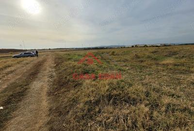 Casă cu Teren 10000 Mp în Băicoi - 11