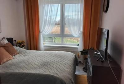 Apartament cu 3 camere decomandat, mobilat în Cristian - 4