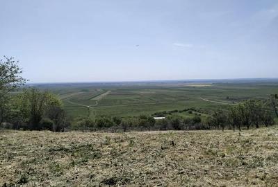 Casă cu 3 camere cu Teren 2500 Mp în Băneasa - 4