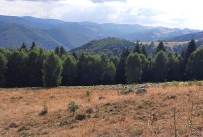 Teren montan, 19.593mp, 32.000 euro , zona Saliste-Crint,  priveliste frumoasa - 2