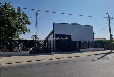 Inchiriere HALA 240 mp Constructie Noua Alexandria - 7