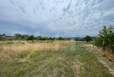 Parcele de teren intravilan de vanzare zona ?i?e?ti,