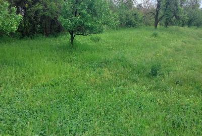 Teren Construcții intravilan de 5265 mp, în Teișani - 5
