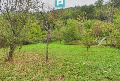 Teren de 1440mp in Lipova pentru o casa de vacan?a - 3