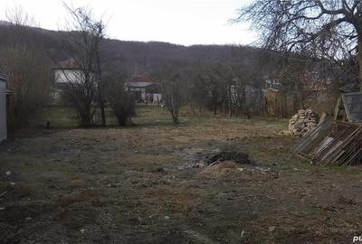Casă cu 2 camere cu Teren 1500 Mp în Bujoreni - 2