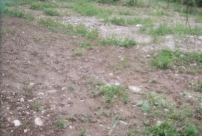 Teren de 1100 mp, în Seaca (Călimănești) - 4