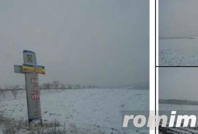 Teren Corbita, ID: R1984008 - 5