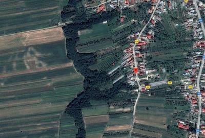 ID:16522: Teren arabil Sat Negreni, com. Darmanesti - 8