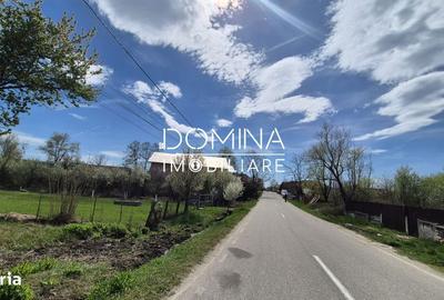 Spațiu comercial, în Curtișoara - 4