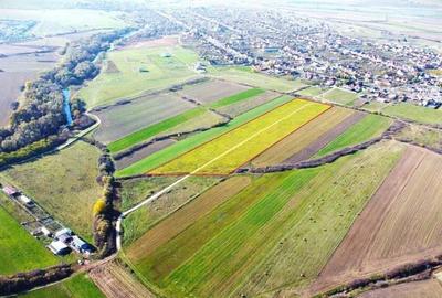 Terenuri Remetea Mare, cu toate utilitatile garantate - 69euro/mp+TVA - 12