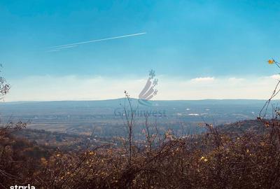 Spațiu comercial, în Central - 1