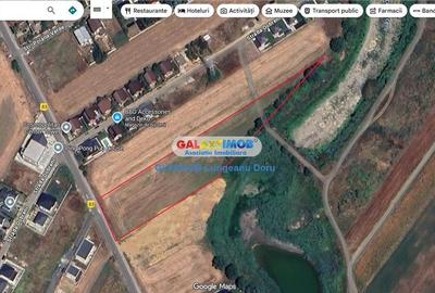 Teren extravilan 5000mp, Stradal, Lac Berceni, Utilitati, 50E mp Teren extravilan 5000mp, Stradal, Lac Berceni, Utilitati, 50E mp - 10