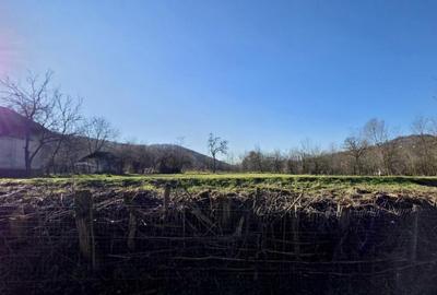 Teren 4.549 mp intravilan, cu posibilitate de parcelare. - 6