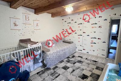 Casă cu 2 camere cu Teren 4054 Mp în Valea Crișului - 8