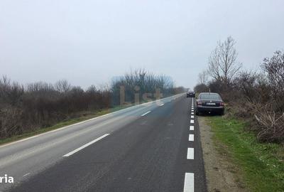 Teren de 3000 mp, în Hinova - 4