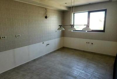 Baneasa Teisani vila 7 camere teren 1000 mp - 17