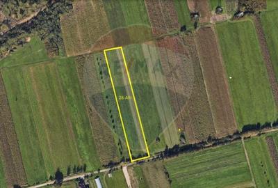 Teren 4,824mp Baia Mare / Strada Sebesului - 7