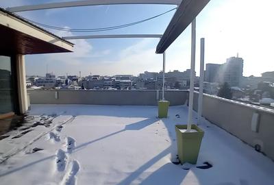 Penthouse Duplex de Lux | Dorobanți | Terase generoase | 345 mp - 4