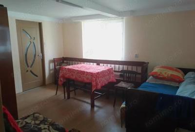 Casă cu 2 camere în Almașu - 4